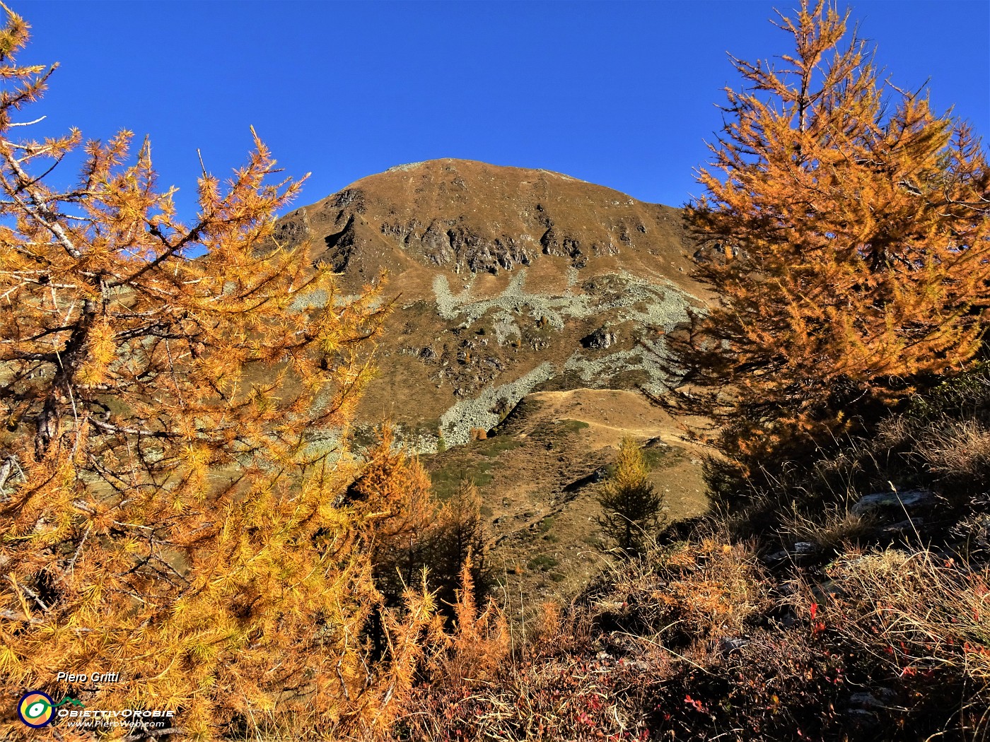 27 Il Valegino tra larici coloratissimi , lo saliremo dopo l'Arete .JPG